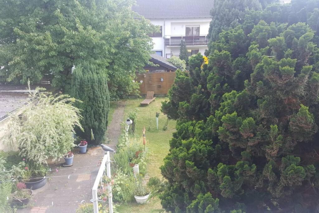 Ferienwohnung Maria Magdalena Bad Neuenahr-Ahrweiler Exterior foto